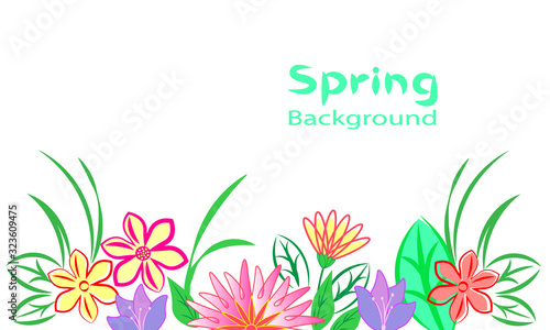 Spring background, wild flowers and grass, line drawing, copy space.