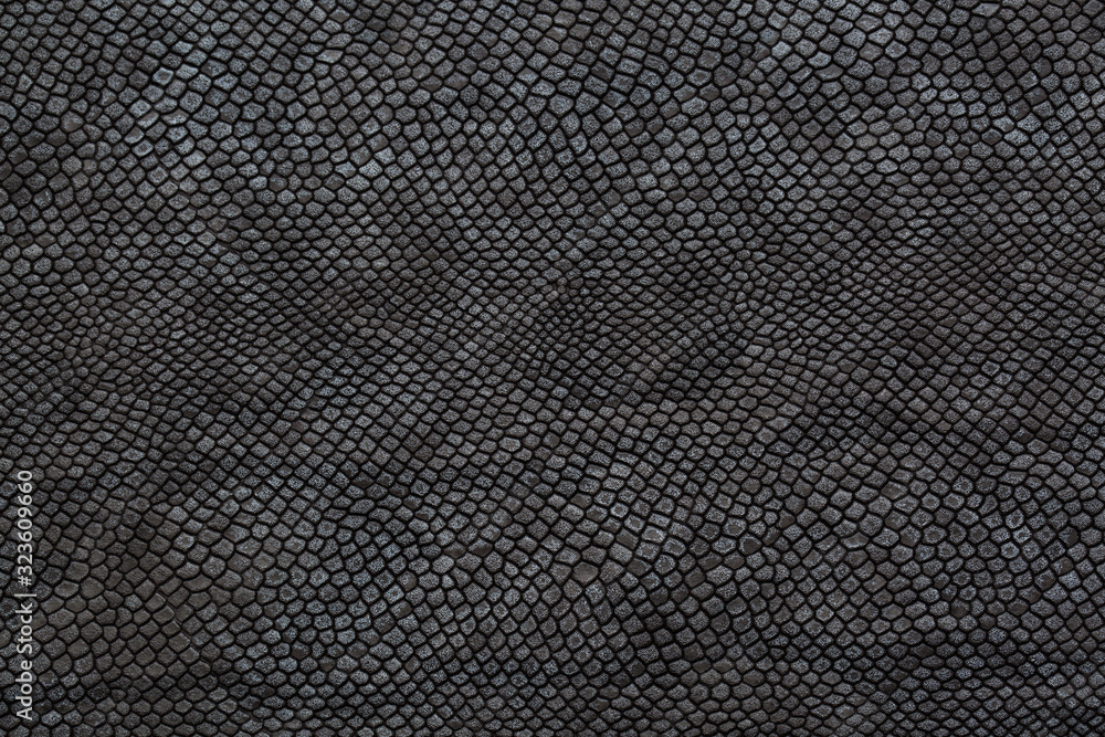 black snake skin texture for background black snake skin texture for background