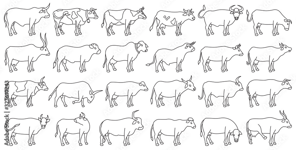 Cow of animal vector outline set icon.Isolated outline icon farm animal of cow.Vector illustration cattle for farm on white background.