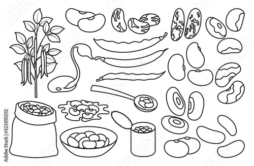 Bean of food vector illustration on white background .Isolated outline set icon soybean.Vector outline set icon bean of food.