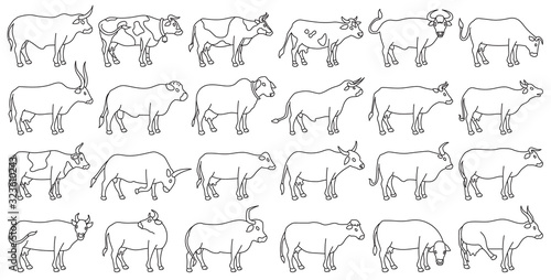 Cow of animal vector outline set icon.Isolated outline icon farm animal of cow.Vector illustration cattle for farm on white background.