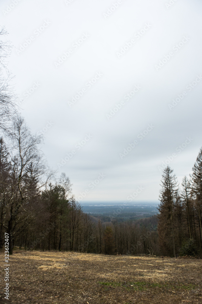 Ausblick von Wald ins Tal Ausblick von Wald ins Tal