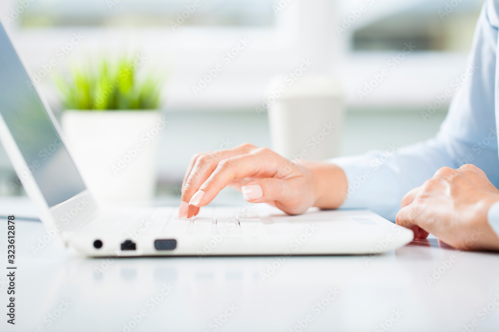 Fototapeta premium Young business woman working using laptop.