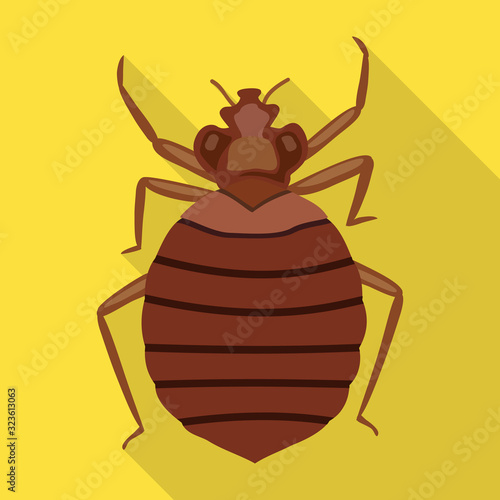 Bedbug vector icon.Flat vector icon isolated on white background bedbug .