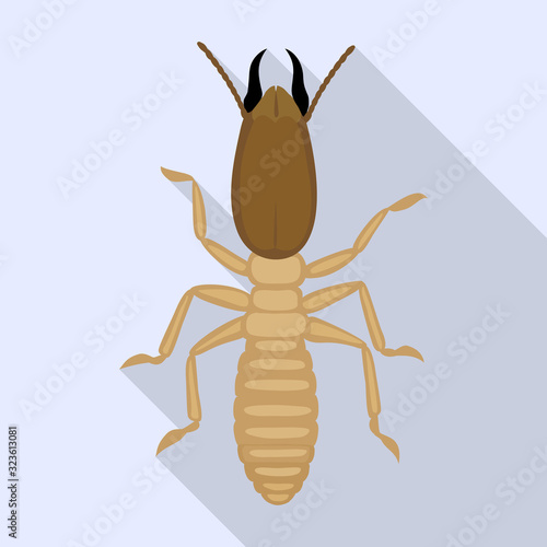 Soldier termite vector icon.Flat vector icon isolated on white background soldier termite.