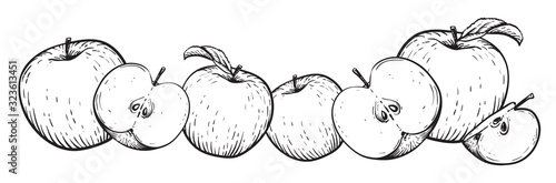 Apple fruit vector set. Frame of black white apples. Engraved vector illustration. Vintage hand realistic drawing.