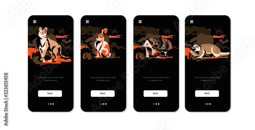 set wolf rabbit echidna platypus running from forest fires in australia animals dying in wildfire bushfire natural disaster concept intense orange flames smartpone screens collection horizontal vector