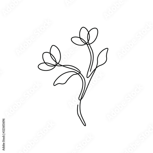 Flower abstract print continuous line drawing  single line on a white background  isolated vector illustration. Line art. Tattoo and logo design for a spa or beauty salon. 