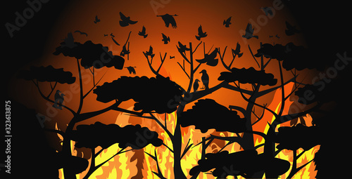 birds silhouettes flying over wildfire forest escaping from fires in australia animals dying in bushfire natural disaster concept intense orange flames horizontal vector illustration