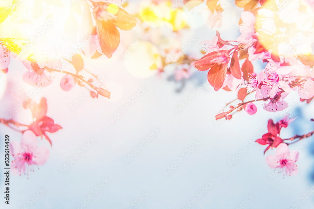 Spring blossom background. Spring blossom background.