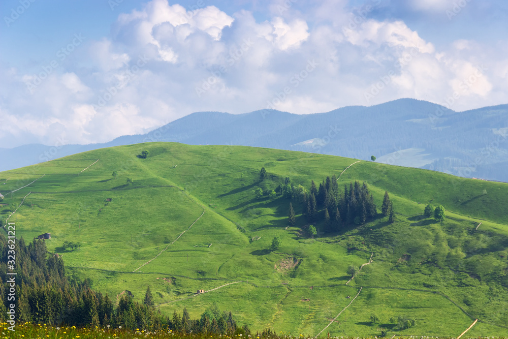 Hillside with hayfields separated by fences in the Carpathian Mountains