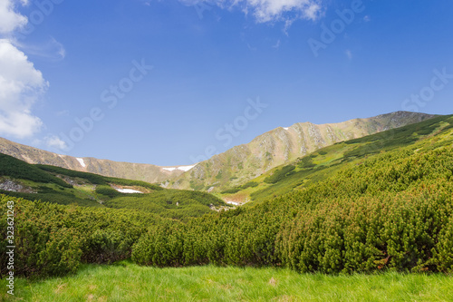 Fototapeta Naklejka Na Ścianę i Meble -  Mountain ridge with rock outcrops in the Carpathian Mountains
