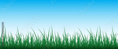 Green grass background with blue sky.  Nature backdrop for you design