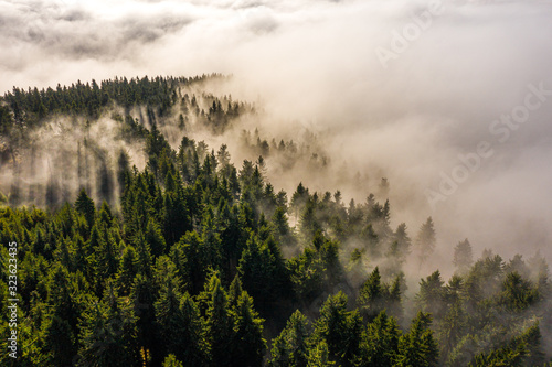 Nebel Wald Strasse Berge Wolken Keilberg photo