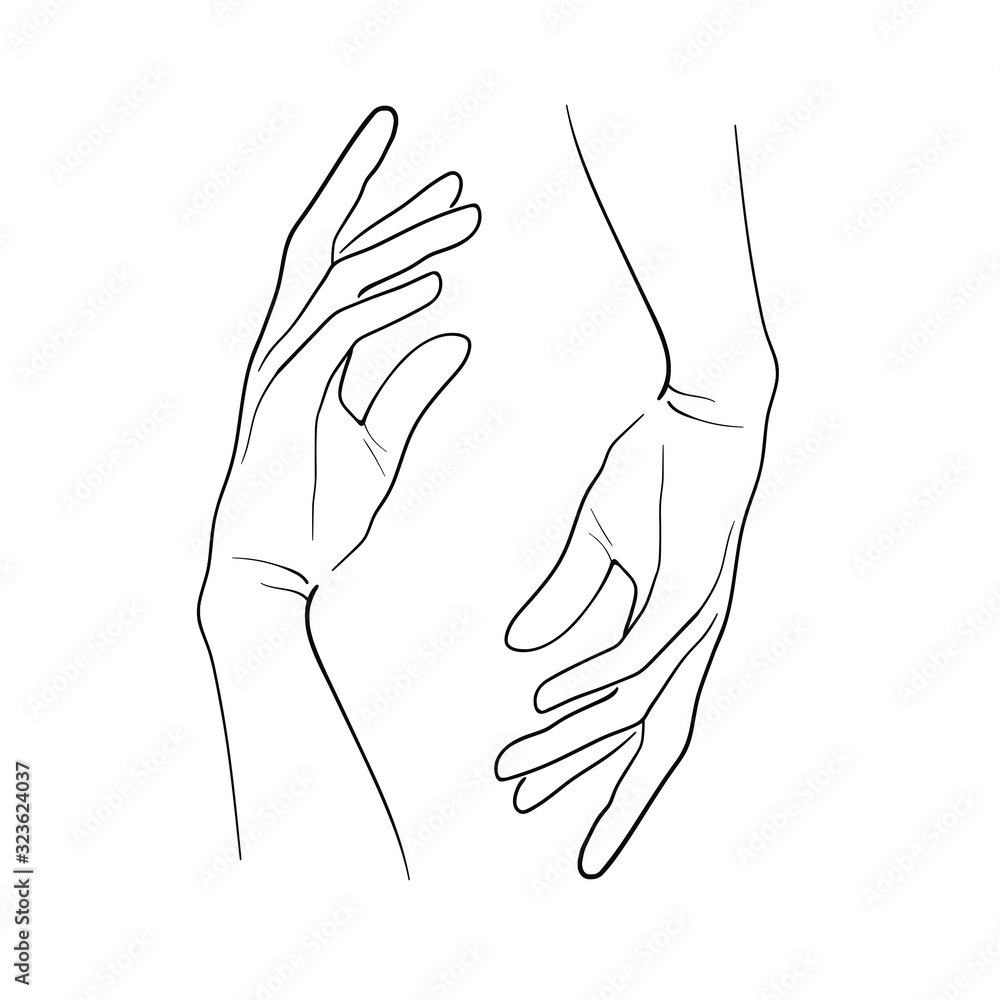 Illustration of female hands isolated on white background. Female hand illustration. Hands sketch Illustration of female hands isolated on white background. Female hand illustration. Hands sketch