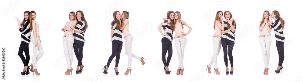 Two female friends isolated on the white Two female friends isolated on the white