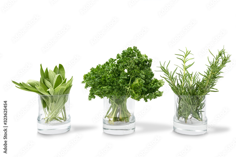 Set of Sage leaves, Parsley leaves and Rosemary on the glass plant pot Set of Sage leaves, Parsley leaves and Rosemary on the glass plant pot