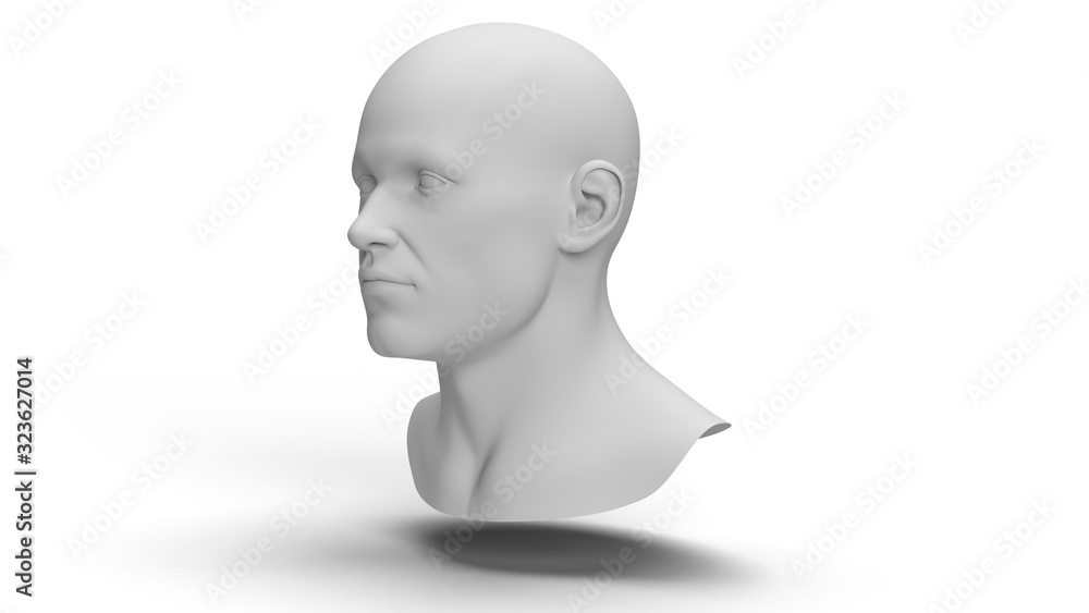 3D Human Male Head 3D Human Male Head