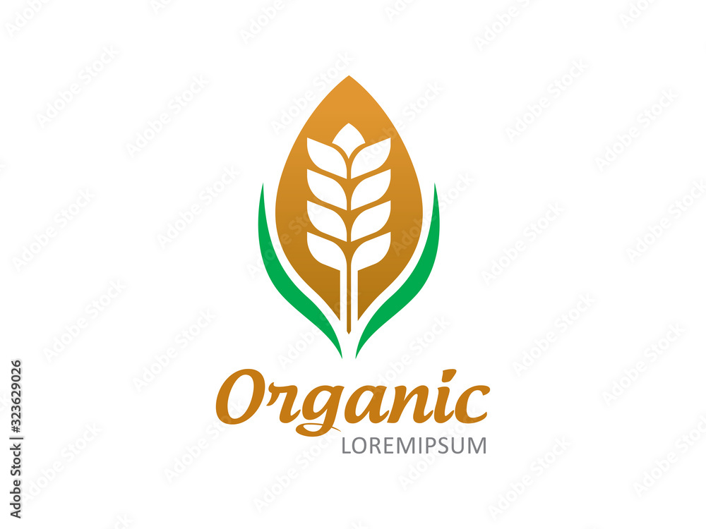 Wheat logo template design, icon, symbol Wheat logo template design, icon, symbol