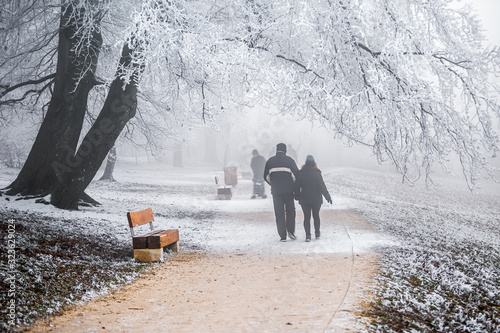 Budapest, Hungary - Beautiful foggy winter scene at Normafa with bench, snowy trees, footpath and walking people on the top of Svabhegy which is a popular tourist sight in the Buda Hills photo