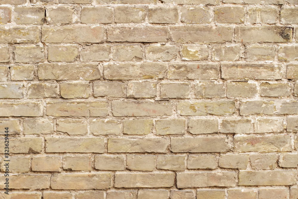 Fototapeta premium Vintage brick wall. For your product or background.