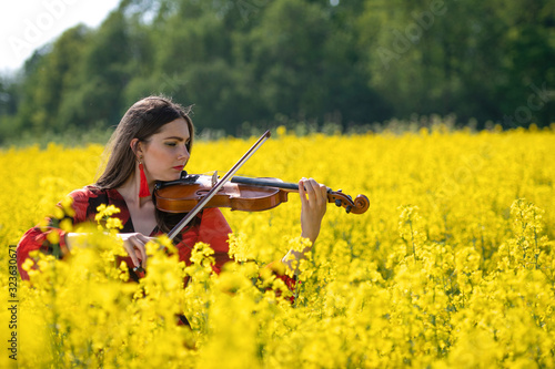 Young woman standing in yellow oilseed rape field and playing violin - image