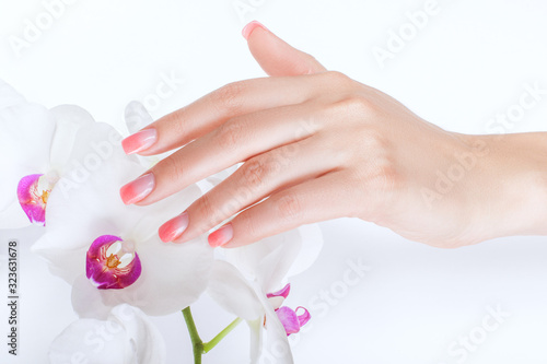 Female hand strokes magnolia flowers.