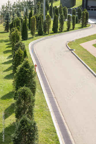 Asphalted Winding Road with Rows of Trees.