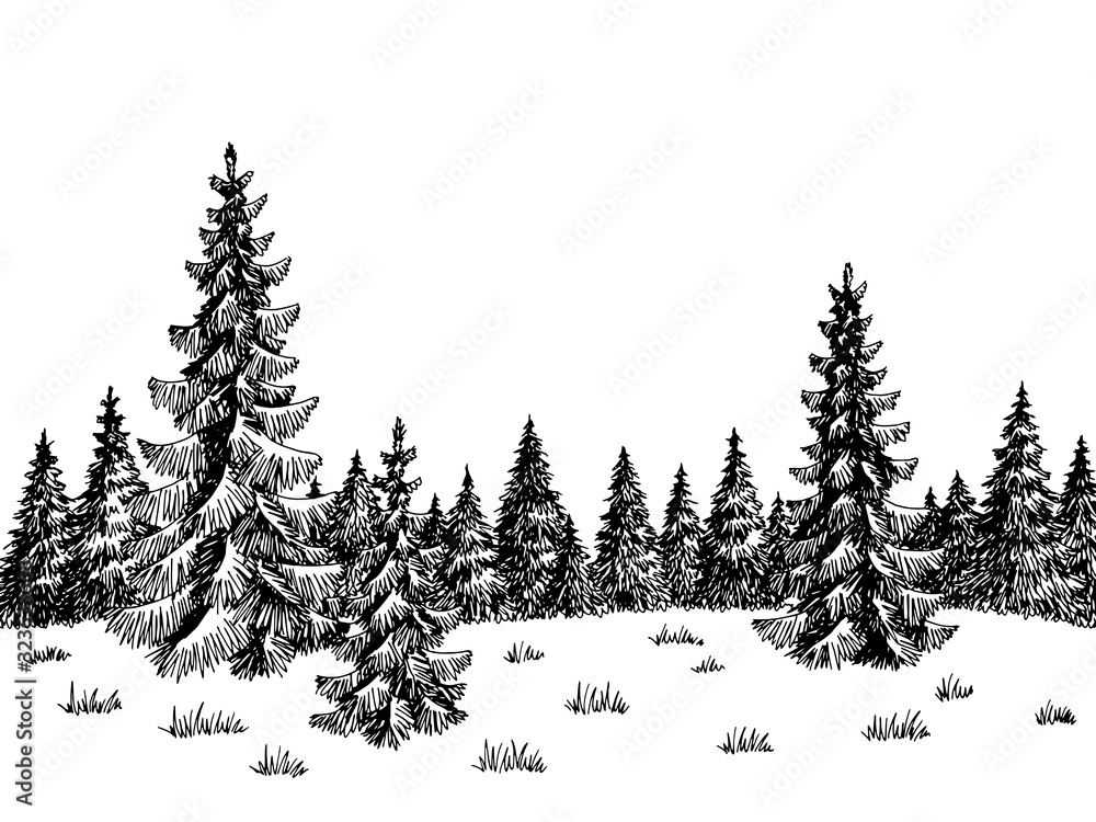 Obraz premium Fir forest graphic black white landscape sketch illustration vector
