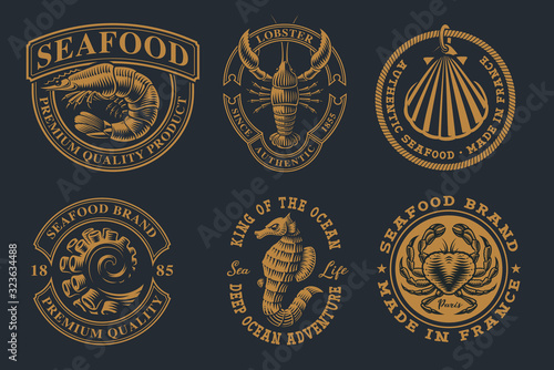 Set of vintage illustrations for seafood theme