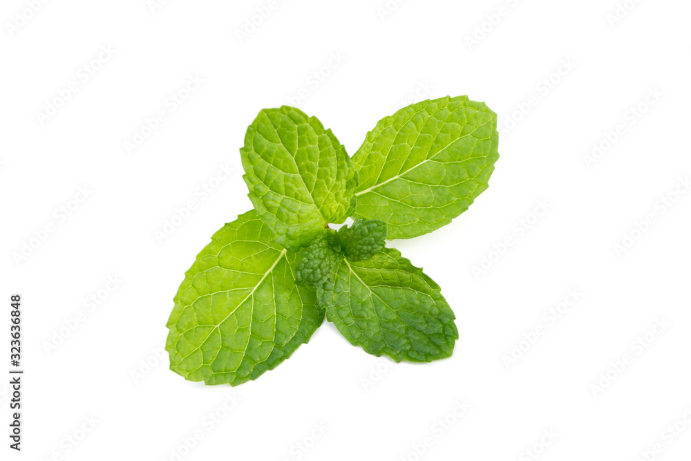 Mint leaves isolated on white background. Mint leaves isolated on white background.