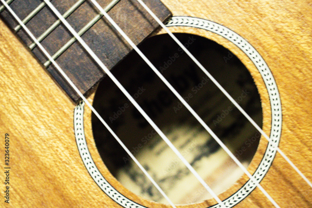 Obraz premium Instrument