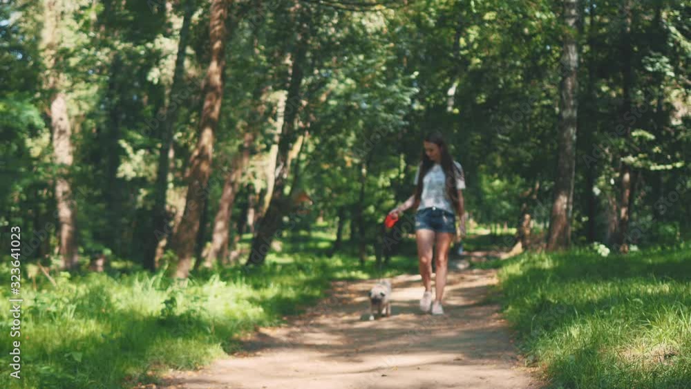 Pug dog next to a girl happily running through the path in the nature park. Copy space. 4K. Pug dog next to a girl happily running through the path in the nature park. Copy space. 4K.