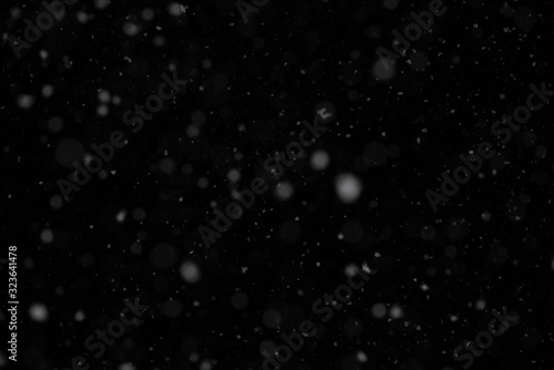 snow. Dust bokeh on a black background