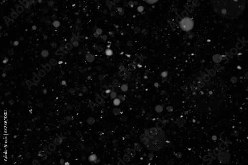 Snow. White bokeh dust on black background