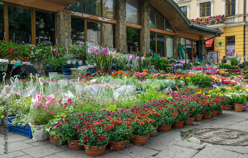  Spring street flower market on the street of Lviv city in Eastern Europe, Ukraine © konoplizkaya