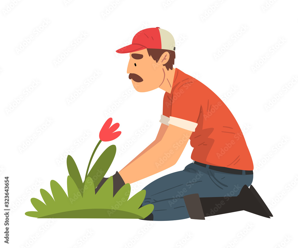 Man Gardener Planting Flower, Male Farmer Character Working at Garden or Farm Vector Illustration Man Gardener Planting Flower, Male Farmer Character Working at Garden or Farm Vector Illustration