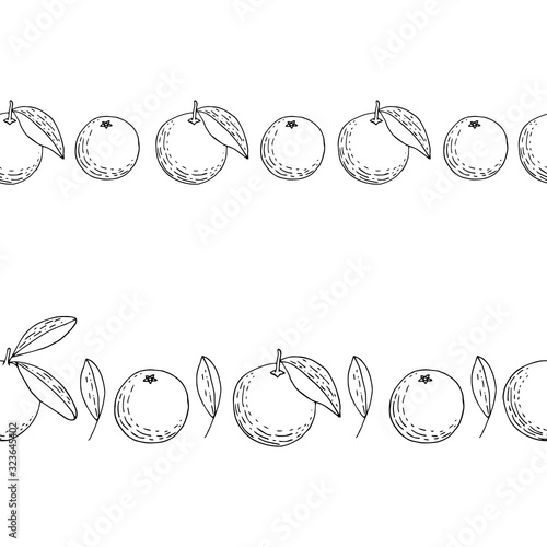 Hand drawn mandarins, oranges leaves decoration. Outline citruses borders. Sketch fruits two vector frames.