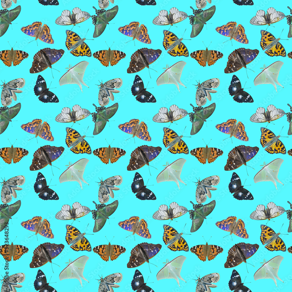 Fototapeta premium Butterflies. Seamless pattern.