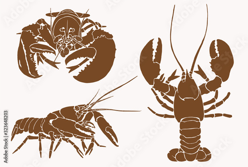 Graphical collection of lobsters , sepia background, vector vintage illustration