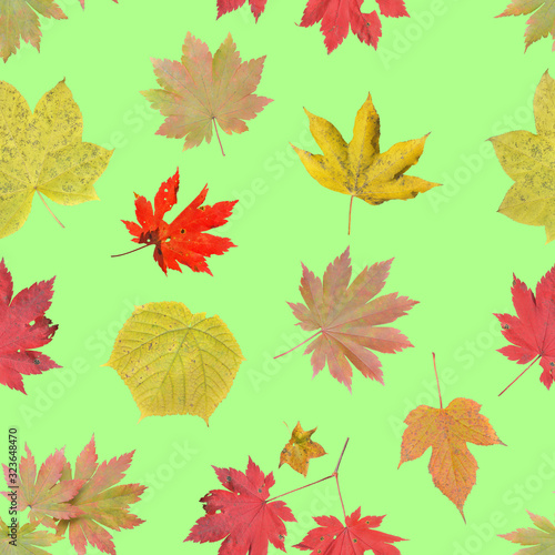 Autumn leaves. Seamless pattern