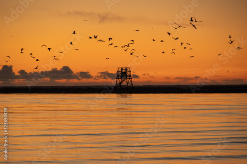 Sunset over the Baltic sea in Pärnu coloring water in orange with silhouette of Vana-Pärnu bird watching tower on horizon and flock of birds flying over