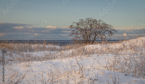 Dunes covered by fresh snow at the beach at Parnu, Estonia in early winter morning. Soft sunrise light.