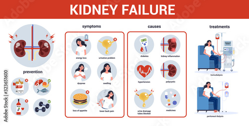Kidney failure infographic. Symptoms, causes, prevention and treatment.