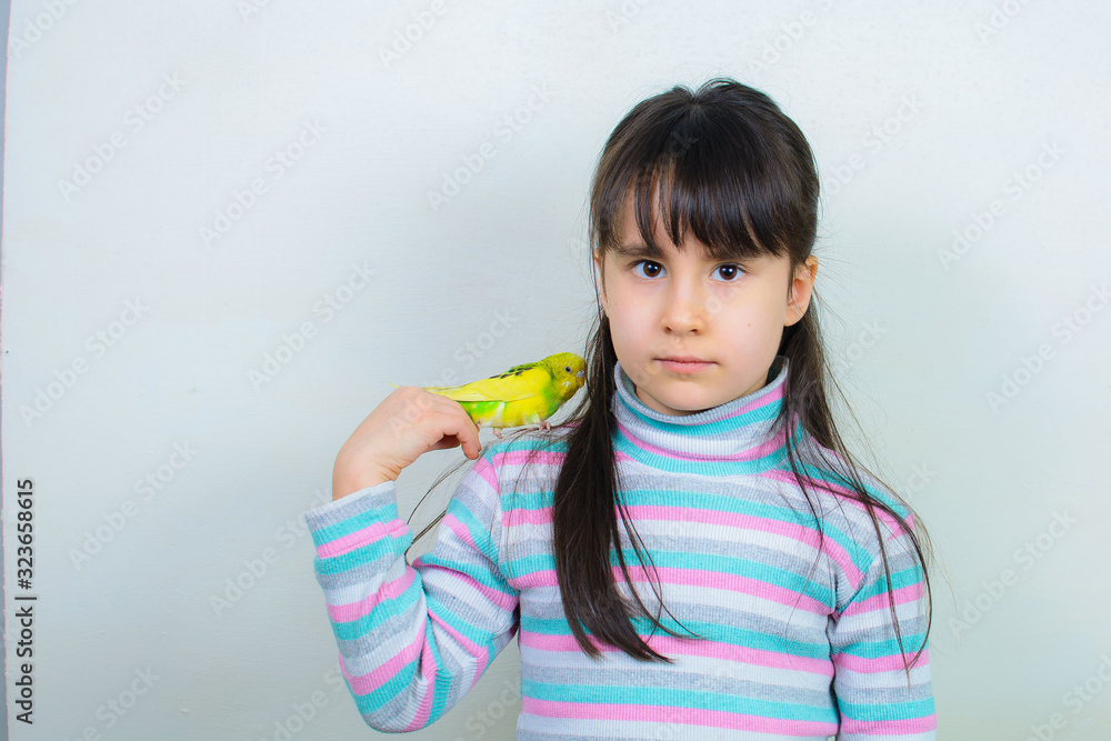 Cool budgie. A cute yellow budgerigar is sitting on the shoulder of a girl with long hair. Tamed Pet Cool budgie. A cute yellow budgerigar is sitting on the shoulder of a girl with long hair. Tamed Pet