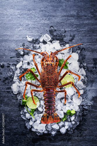 Raw fresh Cape rock lobster, West Coast rock lobster, Jasus lalandii on a dark slate background with cold ice cubes, top view, flat lay, overhead shot. photo