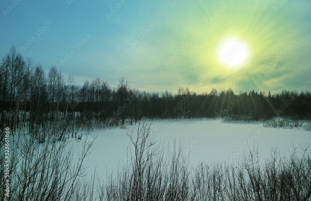 Winter forest landscape at sunset in the evening. Beautiful traditional view of woodland. Location in the north of Russia.