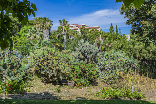 View of the beautiful public Paloma Park (Parque De La Paloma) in Benalmadena. Cactus garden. Benalmadena - most popular holiday towns on the Costa Del Sol. Andalusia, Spain.
