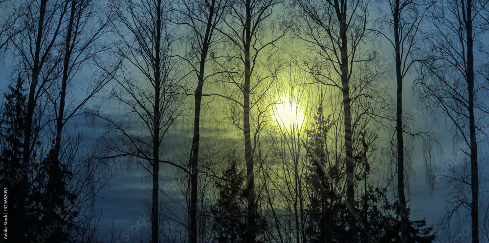 Winter forest landscape at sunset in the evening. Beautiful traditional view of woodland. Location in the north of Russia. Winter forest landscape at sunset in the evening. Beautiful traditional view of woodland. Location in the north of Russia.