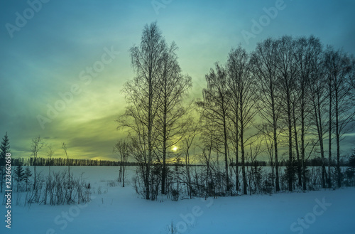 Winter forest landscape at sunset in the evening. Beautiful traditional view of woodland. Location in the north of Russia. © mivod